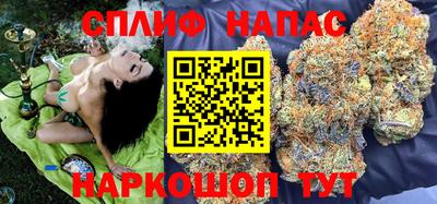 сатива Донской