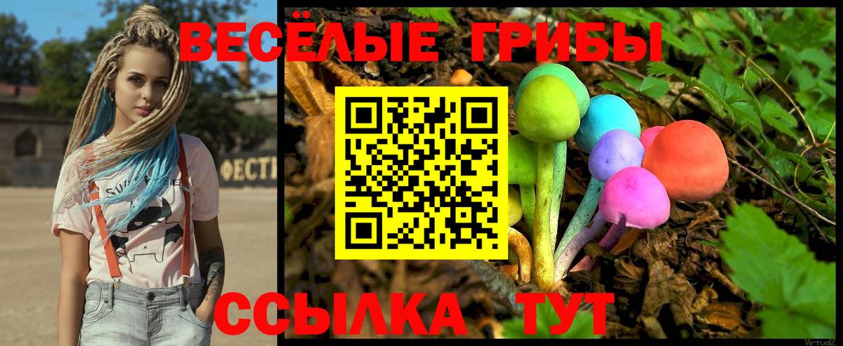 Псилоцибиновые грибы прущие грибы  Галлюциногенные грибы MAGIC MUSHROOMS  Лабинск  Вход с VPN 